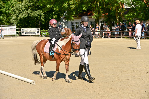 Show Jumping Event Stall Leichle in Schnarup | 17082025 Führzügel WB _062 