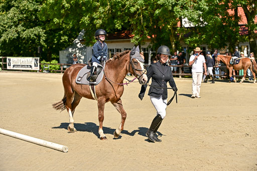 Show Jumping Event Stall Leichle in Schnarup | 17082025 Führzügel WB _063 