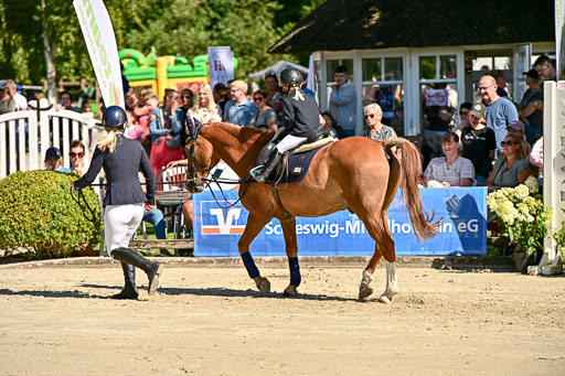 Show Jumping Event Stall Leichle in Schnarup | 17082025 Führzügel WB _064 