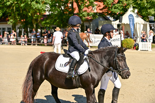 Show Jumping Event Stall Leichle in Schnarup | 17082025 Führzügel WB _065 