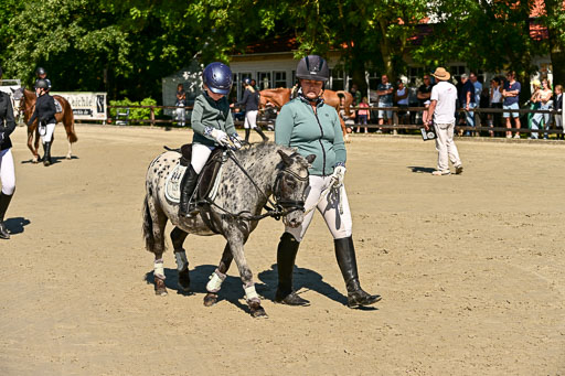 Show Jumping Event Stall Leichle in Schnarup | 17082025 Führzügel WB _066 