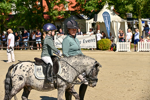Show Jumping Event Stall Leichle in Schnarup | 17082025 Führzügel WB _067 