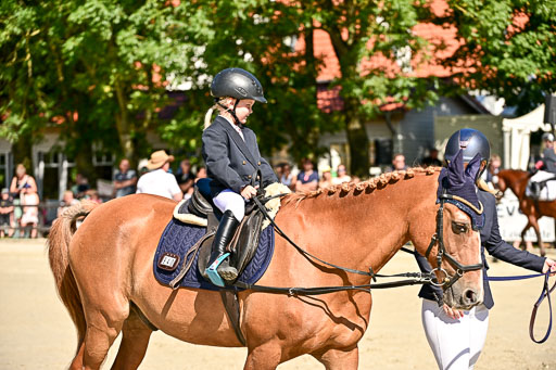 Show Jumping Event Stall Leichle in Schnarup | 17082025 Führzügel WB _068 