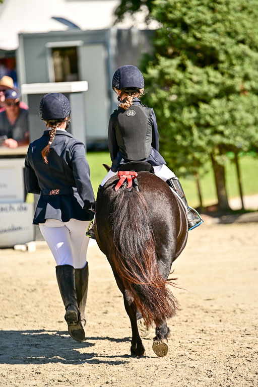 Show Jumping Event Stall Leichle in Schnarup | 17082025 Führzügel WB _072 
