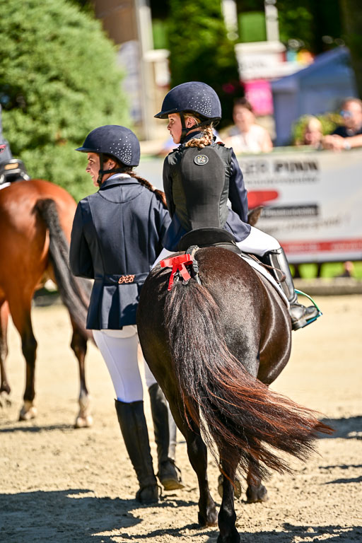 Show Jumping Event Stall Leichle in Schnarup | 17082025 Führzügel WB _081 