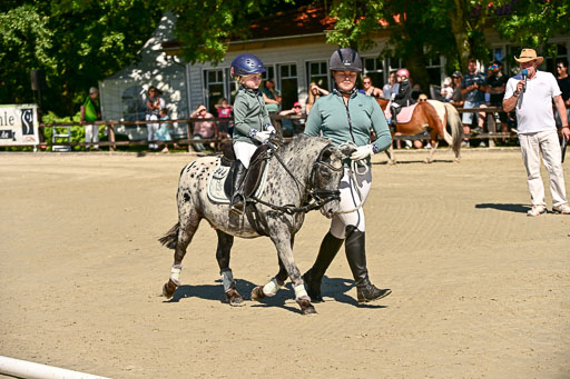 Show Jumping Event Stall Leichle in Schnarup | 17082025 Führzügel WB _082 
