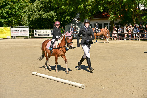 Show Jumping Event Stall Leichle in Schnarup | 17082025 Führzügel WB _084 