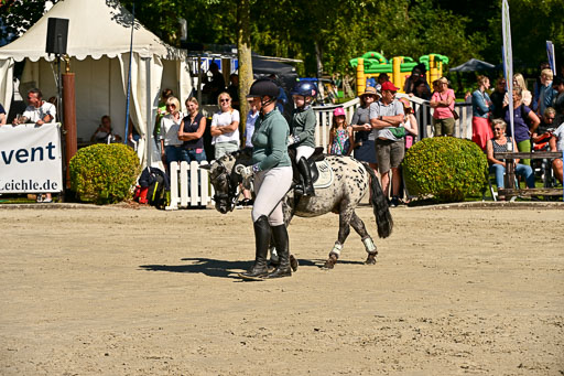 Show Jumping Event Stall Leichle in Schnarup | 17082025 Führzügel WB _090 