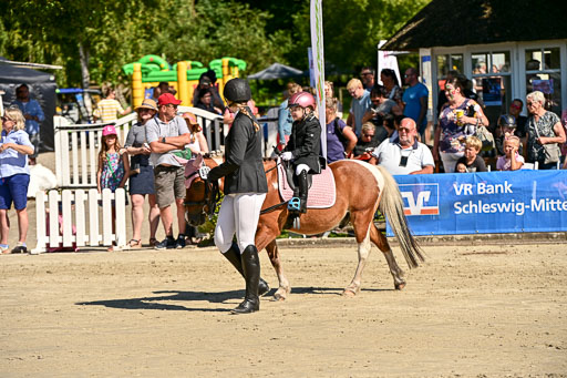Show Jumping Event Stall Leichle in Schnarup | 17082025 Führzügel WB _091 