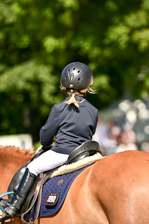 Show Jumping Event Stall Leichle in Schnarup | 17082025 Führzügel WB _092 