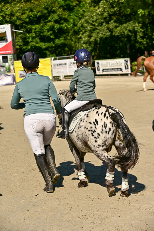 Show Jumping Event Stall Leichle in Schnarup | 17082025 Führzügel WB _094 