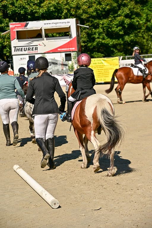 Show Jumping Event Stall Leichle in Schnarup | 17082025 Führzügel WB _095 