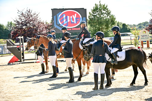 Show Jumping Event Stall Leichle in Schnarup | 17082025 Führzügel WB _102 