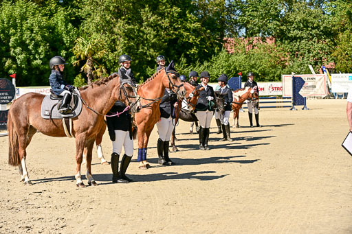 Show Jumping Event Stall Leichle in Schnarup | 17082025 Führzügel WB _103 