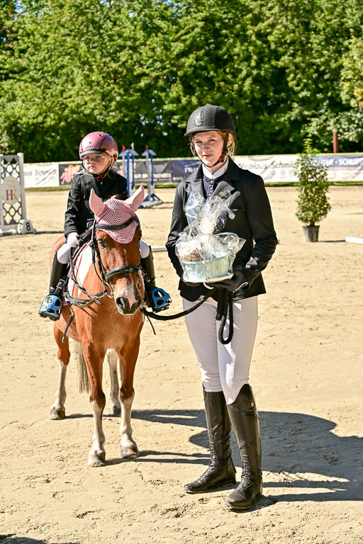 Show Jumping Event Stall Leichle in Schnarup | 17082025 Führzügel WB _116 
