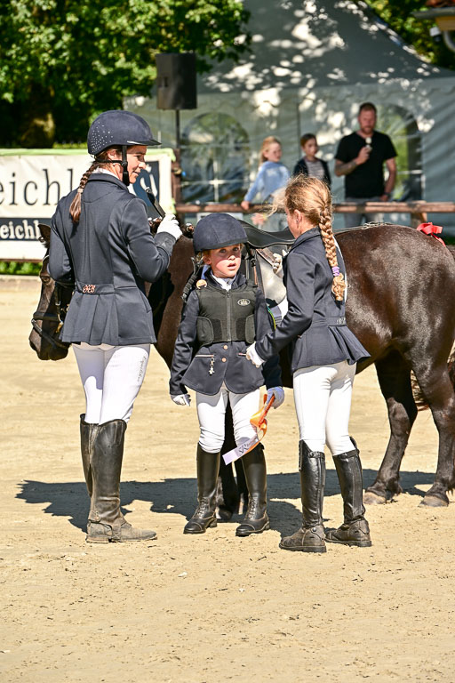 Show Jumping Event Stall Leichle in Schnarup | 17082025 Führzügel WB _123 