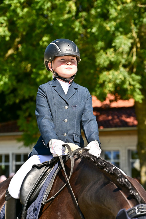 Show Jumping Event Stall Leichle in Schnarup | 17082025 Führzügel WB _127 