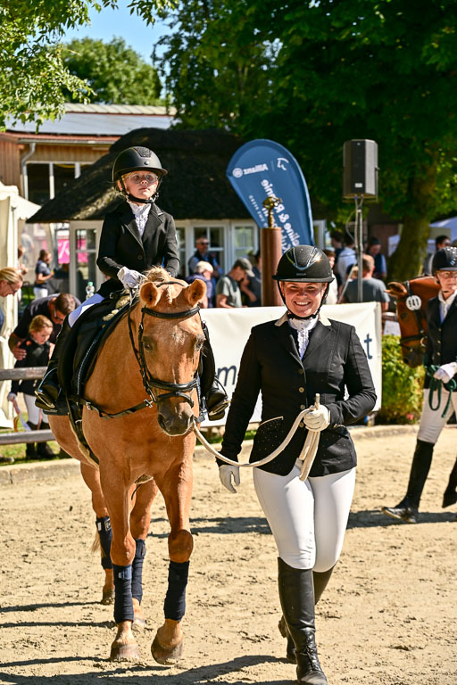 Show Jumping Event Stall Leichle in Schnarup | 17082025 Führzügel WB _131 
