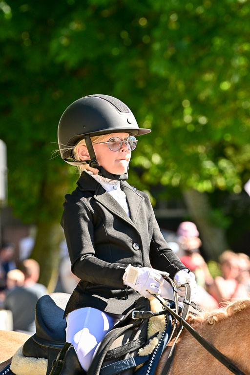 Show Jumping Event Stall Leichle in Schnarup | 17082025 Führzügel WB _132 