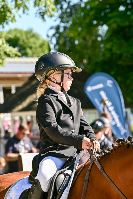 Show Jumping Event Stall Leichle in Schnarup | 17082025 Führzügel WB _133 