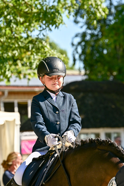 Show Jumping Event Stall Leichle in Schnarup | 17082025 Führzügel WB _136 