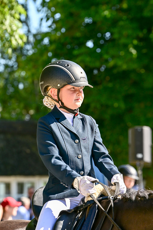Show Jumping Event Stall Leichle in Schnarup | 17082025 Führzügel WB _137 
