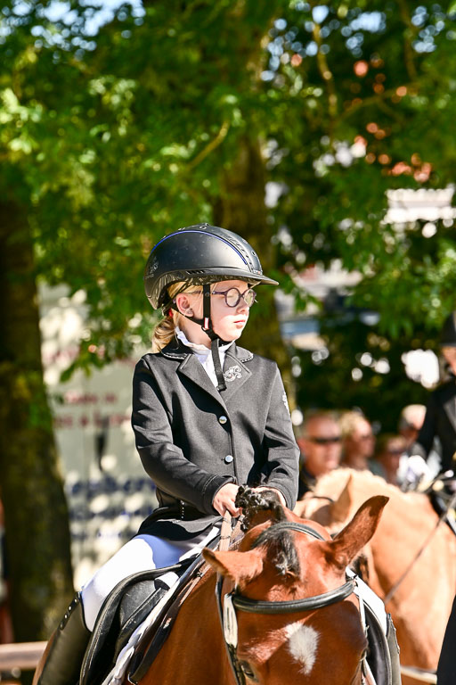 Show Jumping Event Stall Leichle in Schnarup | 17082025 Führzügel WB _150 