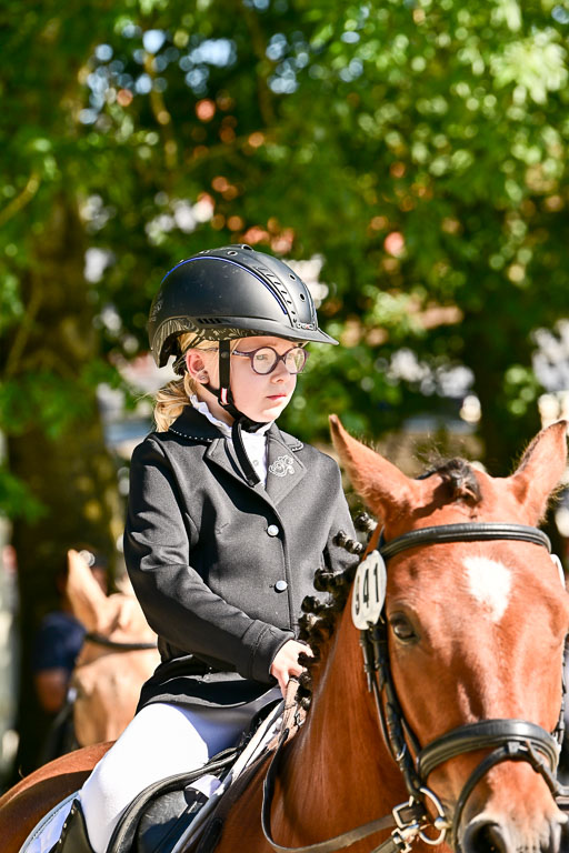 Show Jumping Event Stall Leichle in Schnarup | 17082025 Führzügel WB _151 