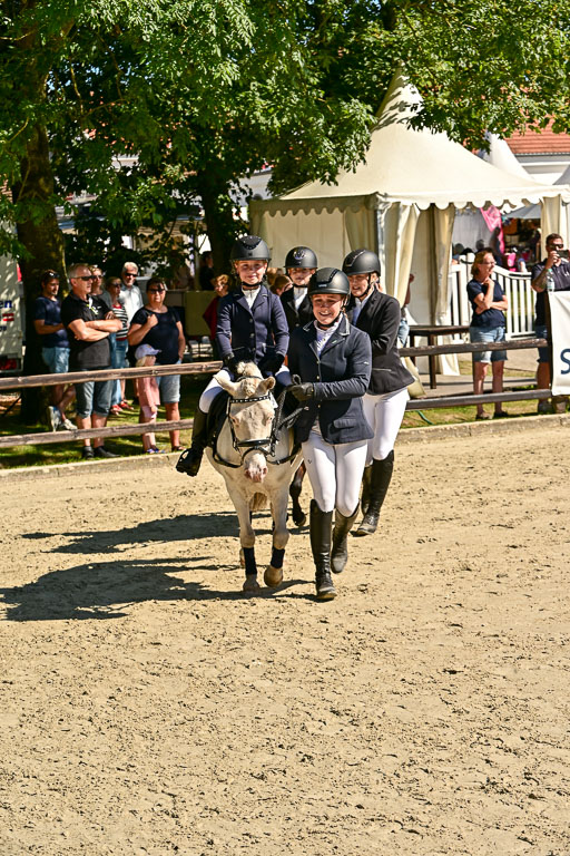 Show Jumping Event Stall Leichle in Schnarup | 17082025 Führzügel WB _155 