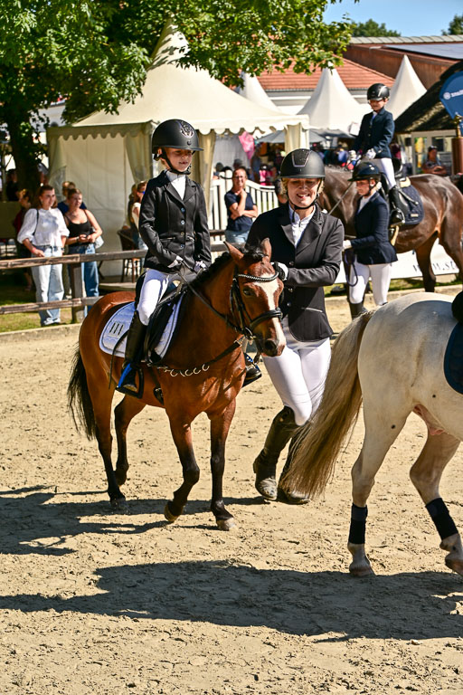 Show Jumping Event Stall Leichle in Schnarup | 17082025 Führzügel WB _156 