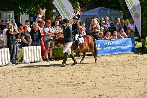 Show Jumping Event Stall Leichle in Schnarup | 17082025 Führzügel WB _160 