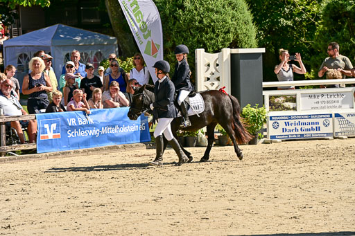 Show Jumping Event Stall Leichle in Schnarup | 17082025 Führzügel WB _161 