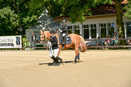 Show Jumping Event Stall Leichle in Schnarup | 17082025 Führzügel WB _166 