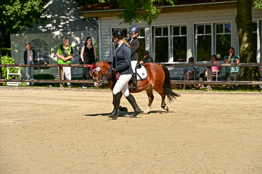 Show Jumping Event Stall Leichle in Schnarup | 17082025 Führzügel WB _167 