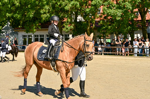 Show Jumping Event Stall Leichle in Schnarup | 17082025 Führzügel WB _169 