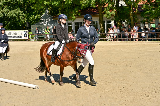 Show Jumping Event Stall Leichle in Schnarup | 17082025 Führzügel WB _170 