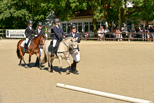 Show Jumping Event Stall Leichle in Schnarup | 17082025 Führzügel WB _173 