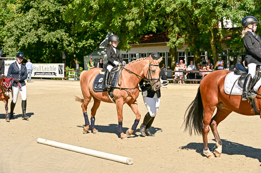 Show Jumping Event Stall Leichle in Schnarup | 17082025 Führzügel WB _180 