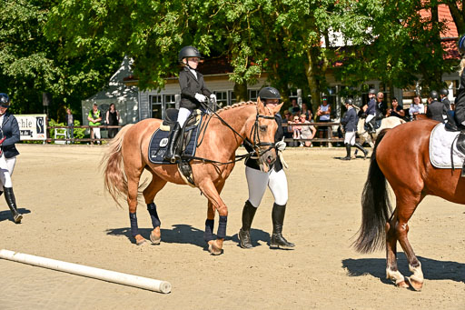 Show Jumping Event Stall Leichle in Schnarup | 17082025 Führzügel WB _181 