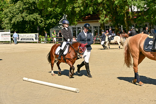 Show Jumping Event Stall Leichle in Schnarup | 17082025 Führzügel WB _182 