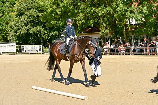 Show Jumping Event Stall Leichle in Schnarup | 17082025 Führzügel WB _188 