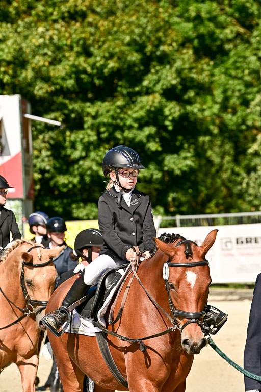 Show Jumping Event Stall Leichle in Schnarup | 17082025 Führzügel WB _189 