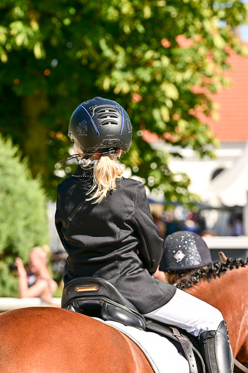 Show Jumping Event Stall Leichle in Schnarup | 17082025 Führzügel WB _190 