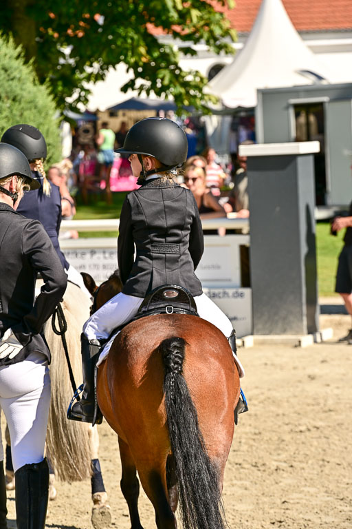 Show Jumping Event Stall Leichle in Schnarup | 17082025 Führzügel WB _199 