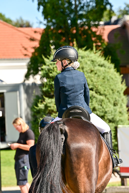 Show Jumping Event Stall Leichle in Schnarup | 17082025 Führzügel WB _200 