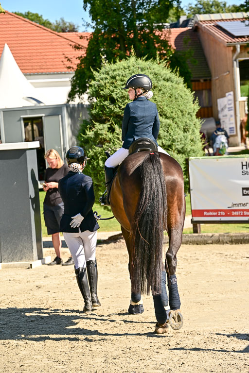 Show Jumping Event Stall Leichle in Schnarup | 17082025 Führzügel WB _201 