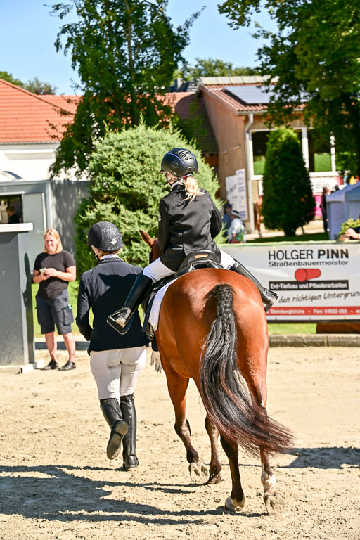 Show Jumping Event Stall Leichle in Schnarup | 17082025 Führzügel WB _202 
