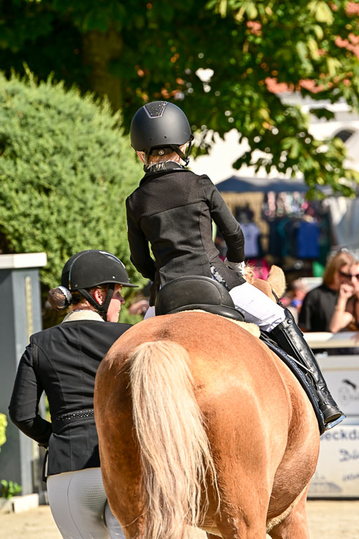 Show Jumping Event Stall Leichle in Schnarup | 17082025 Führzügel WB _203 