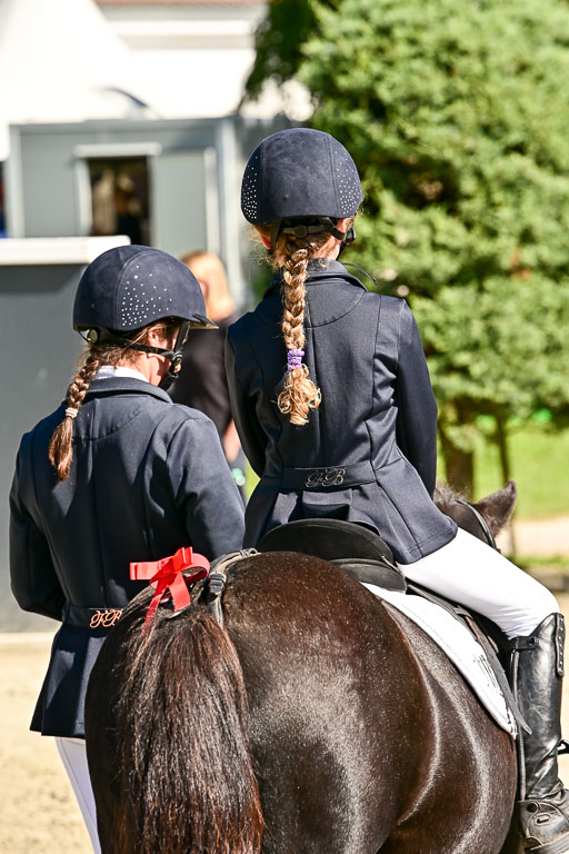 Show Jumping Event Stall Leichle in Schnarup | 17082025 Führzügel WB _206 