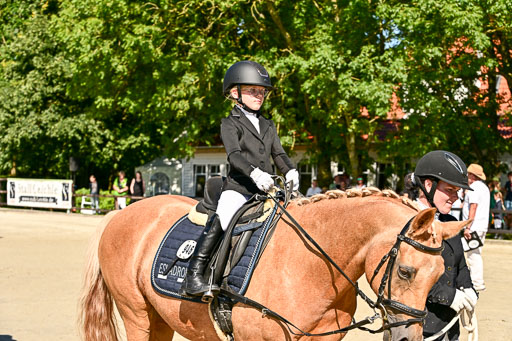Show Jumping Event Stall Leichle in Schnarup | 17082025 Führzügel WB _209 